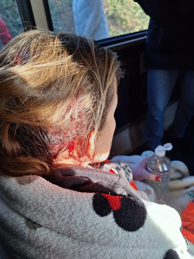 Other image for Postal worker survives double-decker bus collision